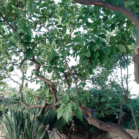 Habitación en casa particular Zia Maria Bari