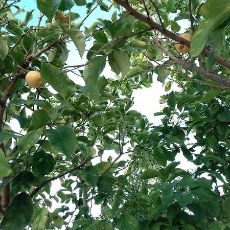 Séjour chez l'habitant Zia Maria *