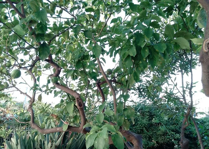 Accommodatie bij particulieren Zia Maria Bari